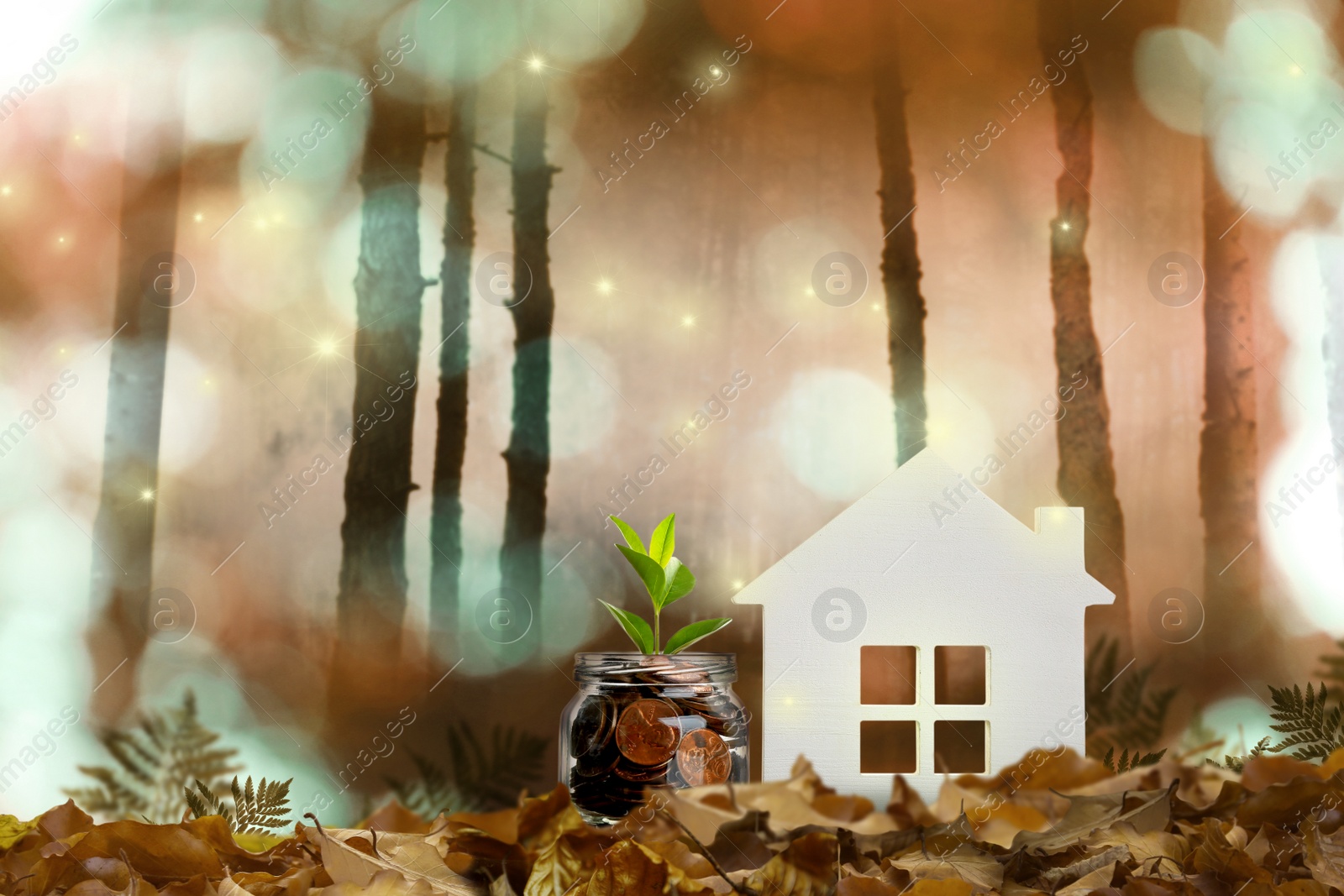 Image of Eco friendly home. House model and jar with coins in forest