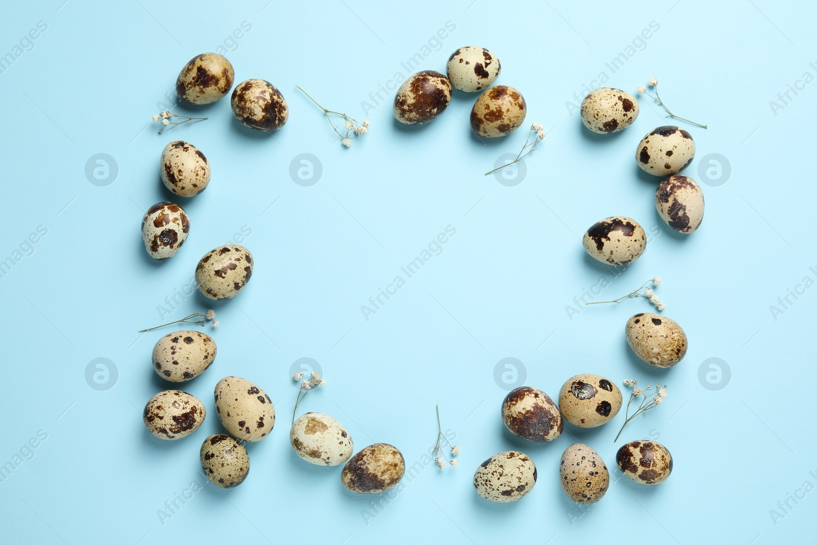 Photo of Frame made of speckled quail eggs on light blue background, flat lay. Space for text
