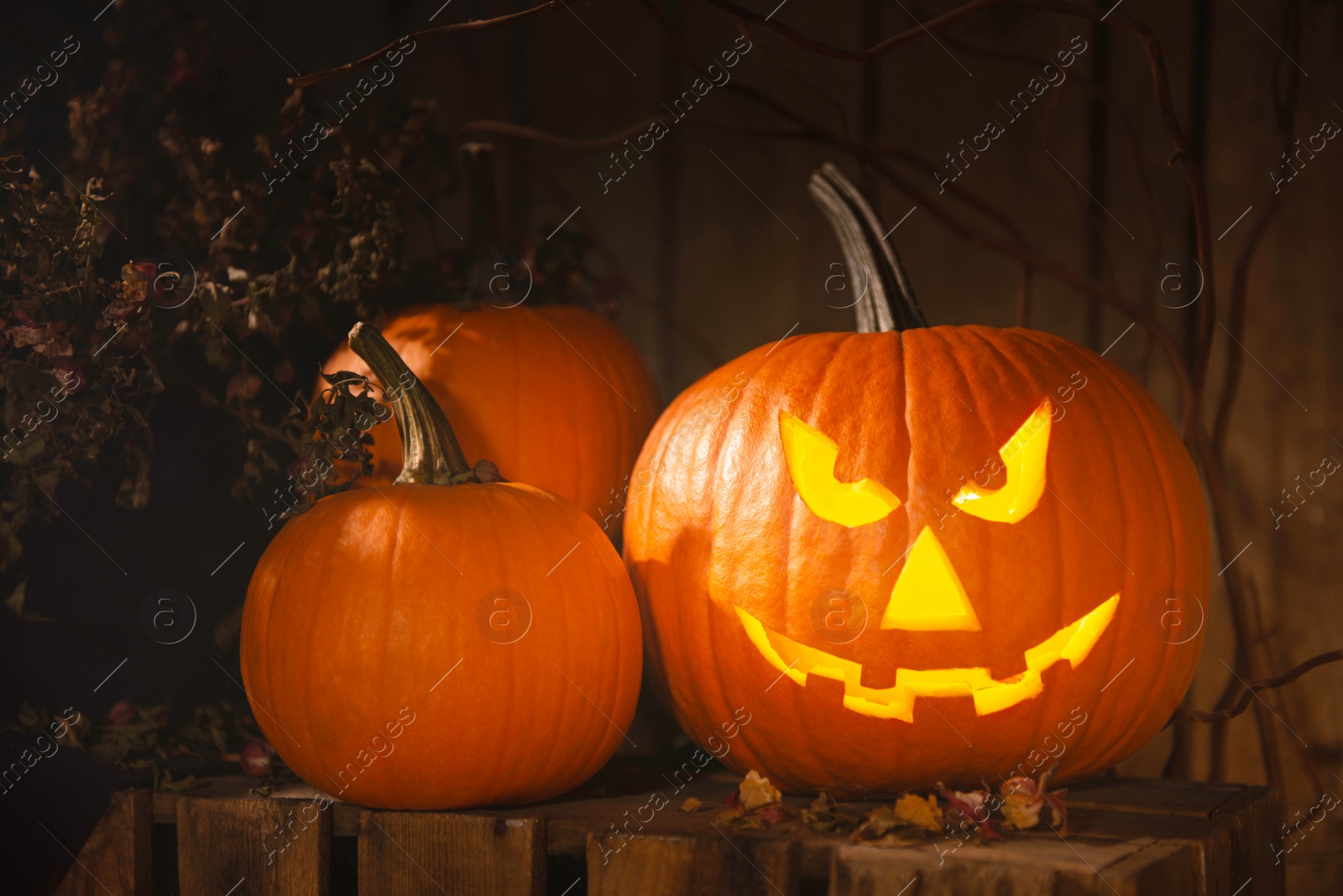 Photo of Scary jack o'lantern pumpkin on wooden bench in darkness. Halloween decor