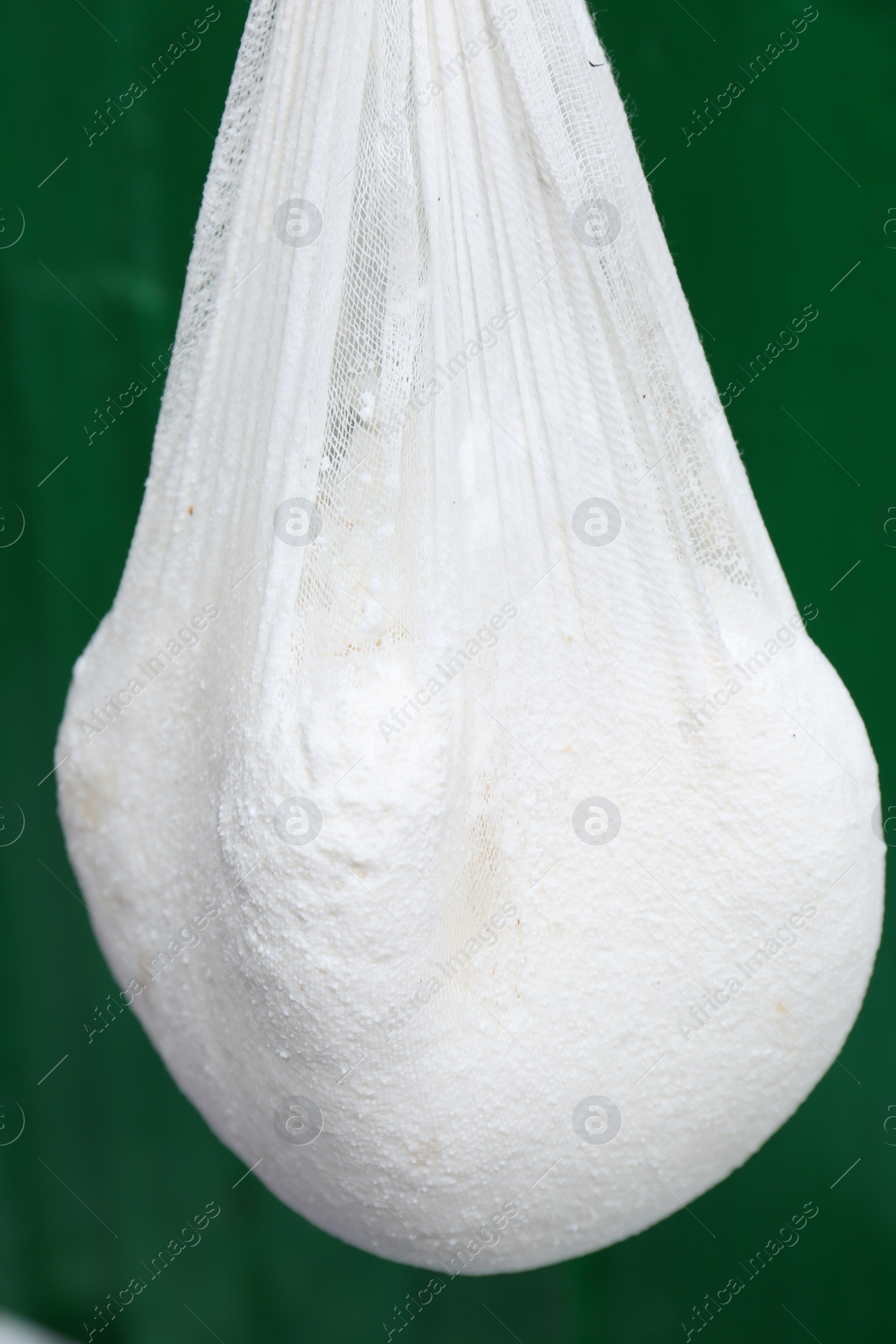 Photo of Delicious raw cottage cheese in cheesecloth on green background