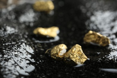 Photo of Shiny gold nuggets on wet stones, closeup