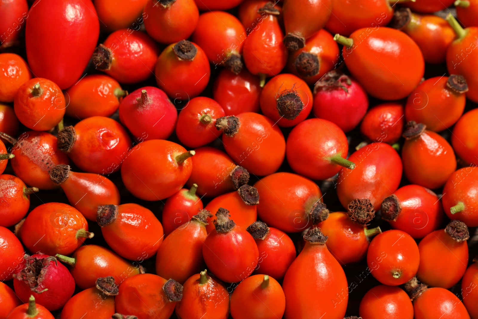 Photo of Ripe rose hip berries as background, top view