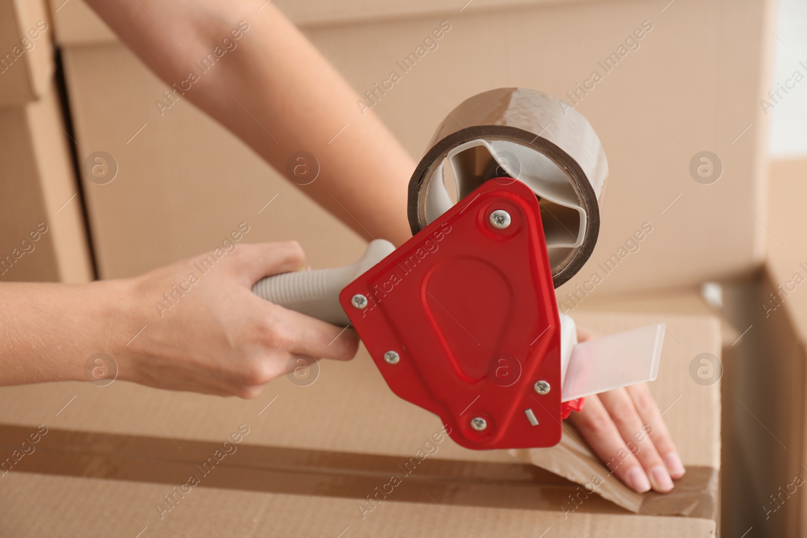 Photo of Woman packing carton box indoors, closeup. Moving day