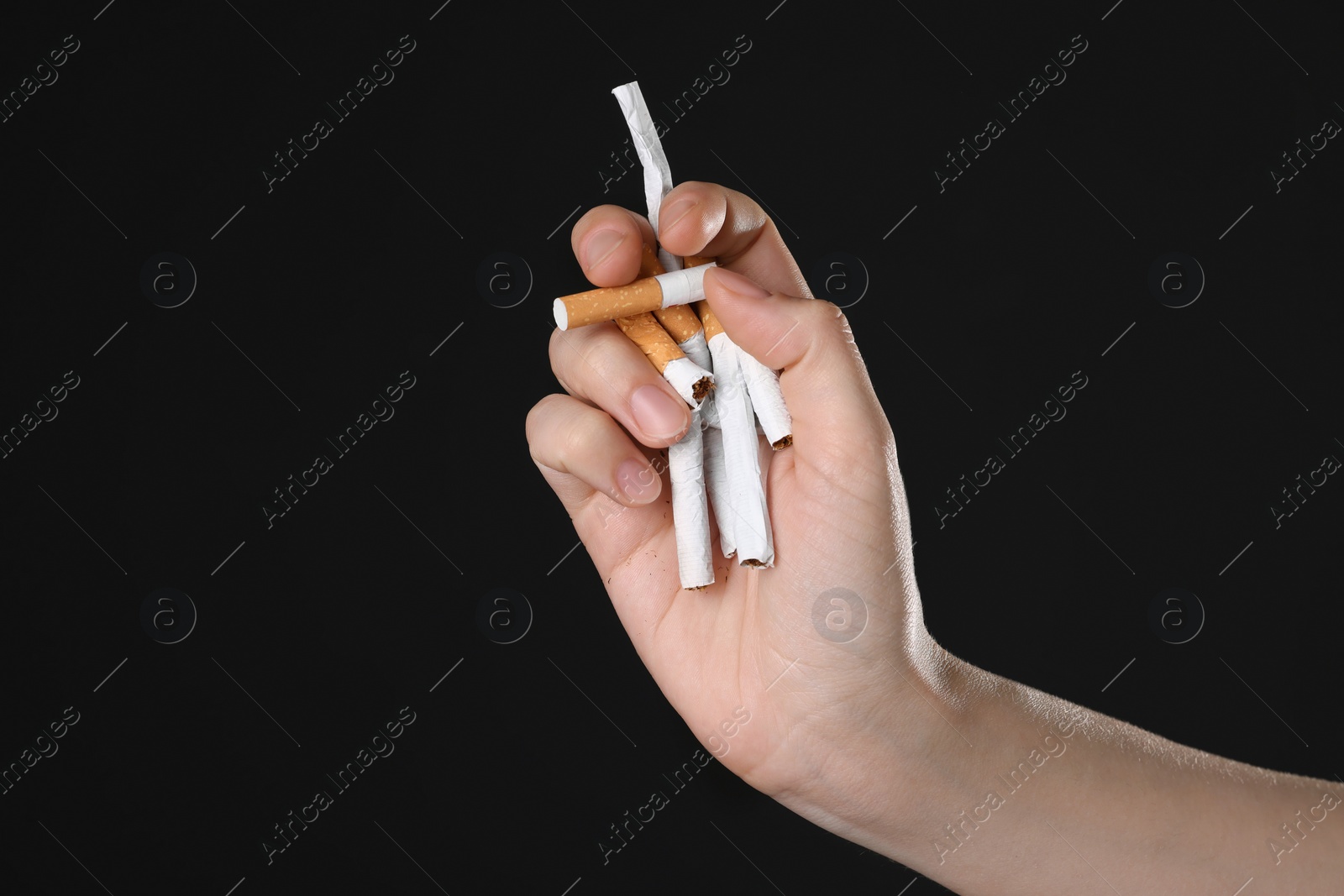 Photo of Stop smoking concept. Woman holding cigarettes on black background, closeup with space for text
