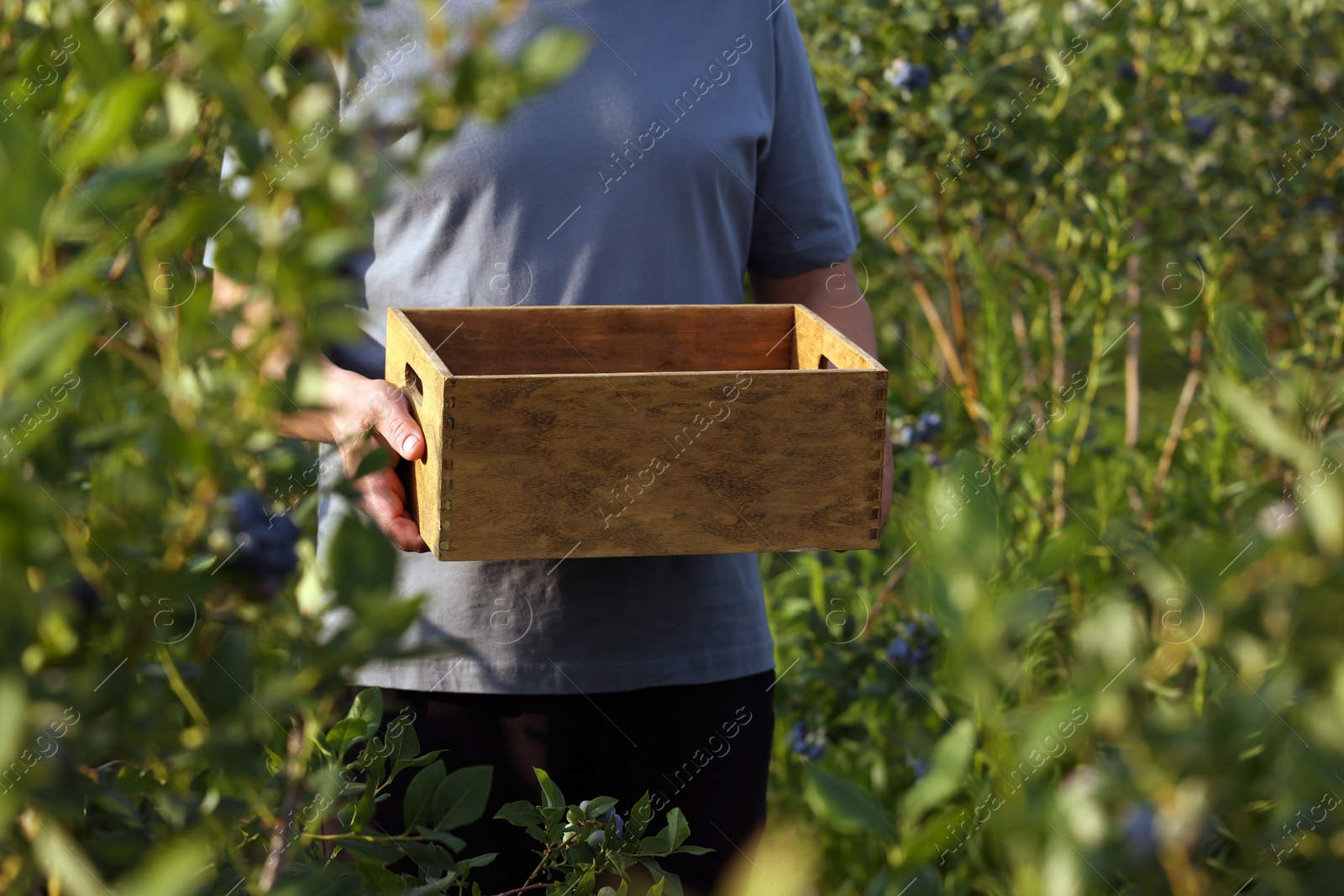 Photo of Man holding wooden box on farm, closeup view