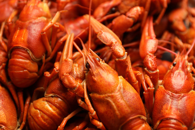 Delicious boiled crayfishes as background, closeup view