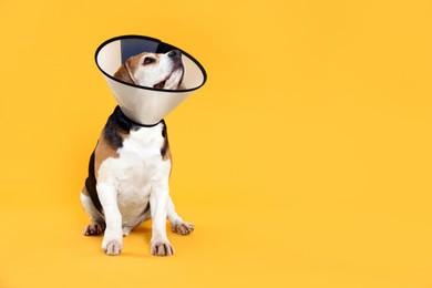 Photo of Adorable Beagle dog wearing medical plastic collar on orange background, space for text