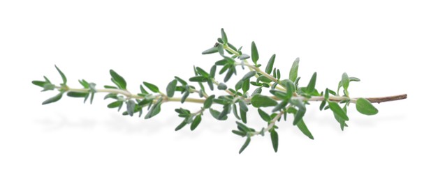 Photo of Fresh green thyme sprig isolated on white