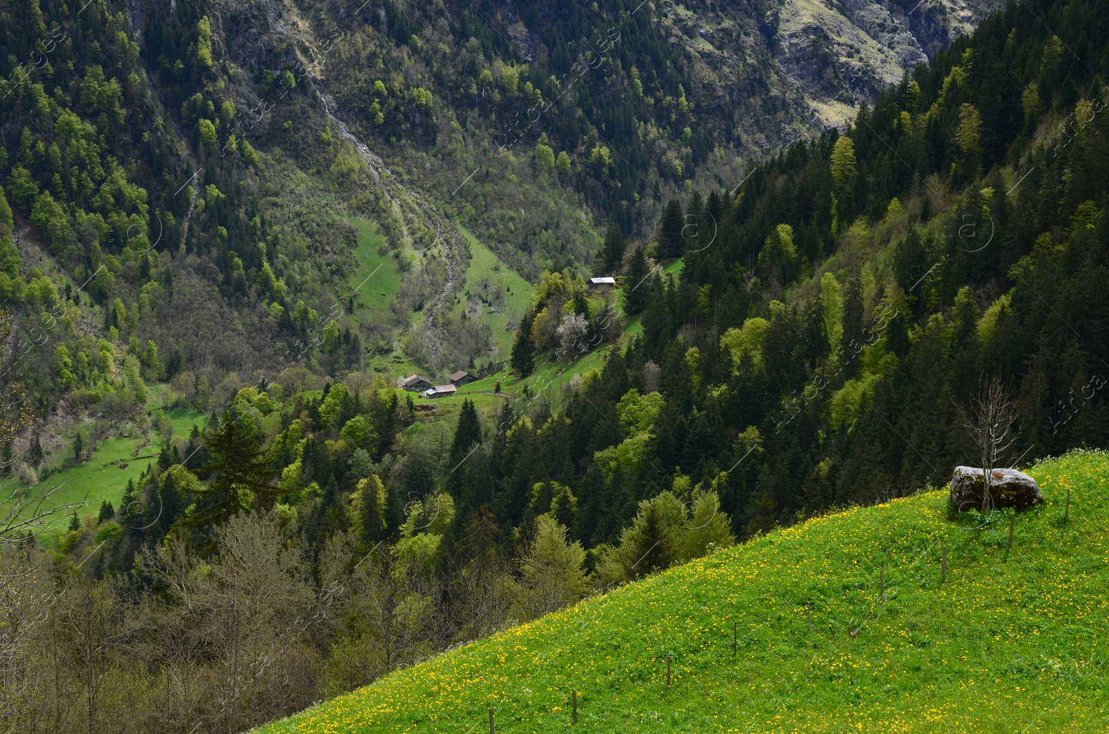 Photo of Picturesque view of mountain landscape with forest outdoors