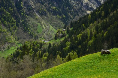 Photo of Picturesque view of mountain landscape with forest outdoors