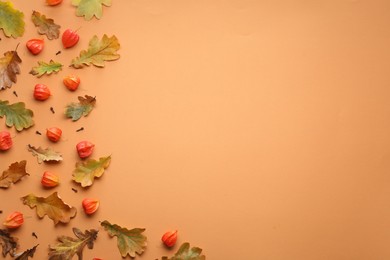 Photo of Dry autumn leaves and physalises on pale orange background, flat lay. Space for text