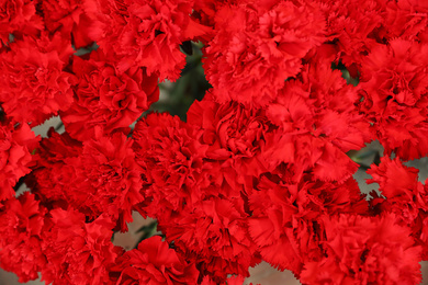 Photo of Beautiful fresh carnation flowers as background, top view. Floral decor