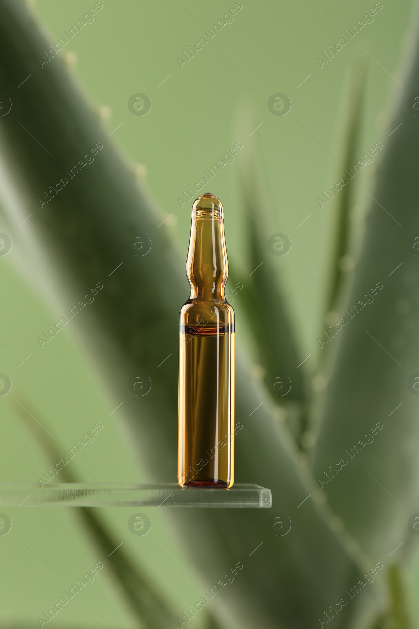 Photo of Skincare ampoule near aloe vera on light green background, closeup