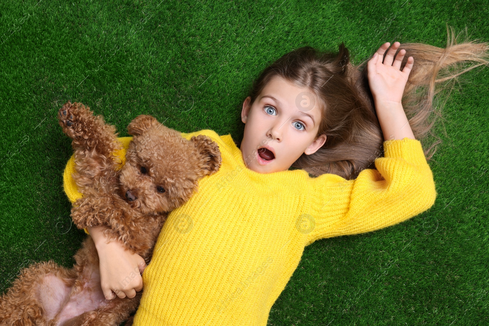 Photo of Surprised girl with cute puppy on green grass, top view. Lovely pet