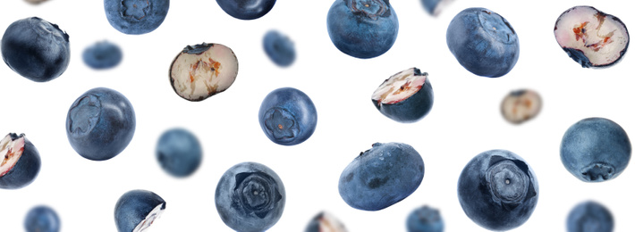 Many fresh ripe blueberries falling on white background. Banner design