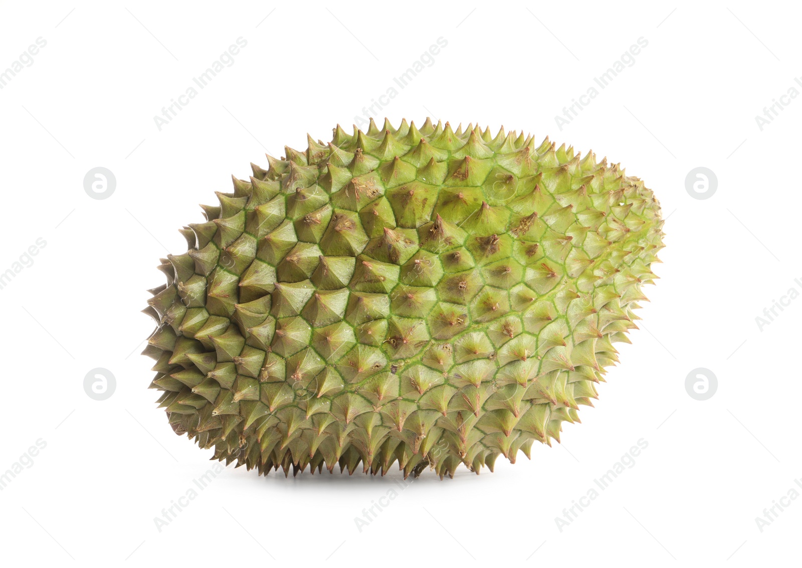 Photo of One whole ripe durian isolated on white