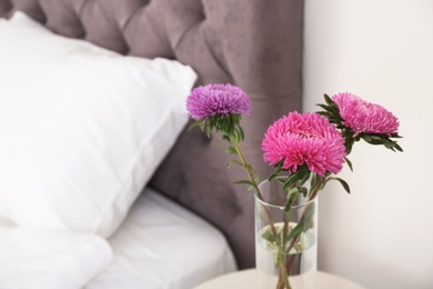 Photo of Beautiful flowers in vase and space for text on blurred background. Element of interior design