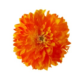 Beautiful orange dahlia flower isolated on white