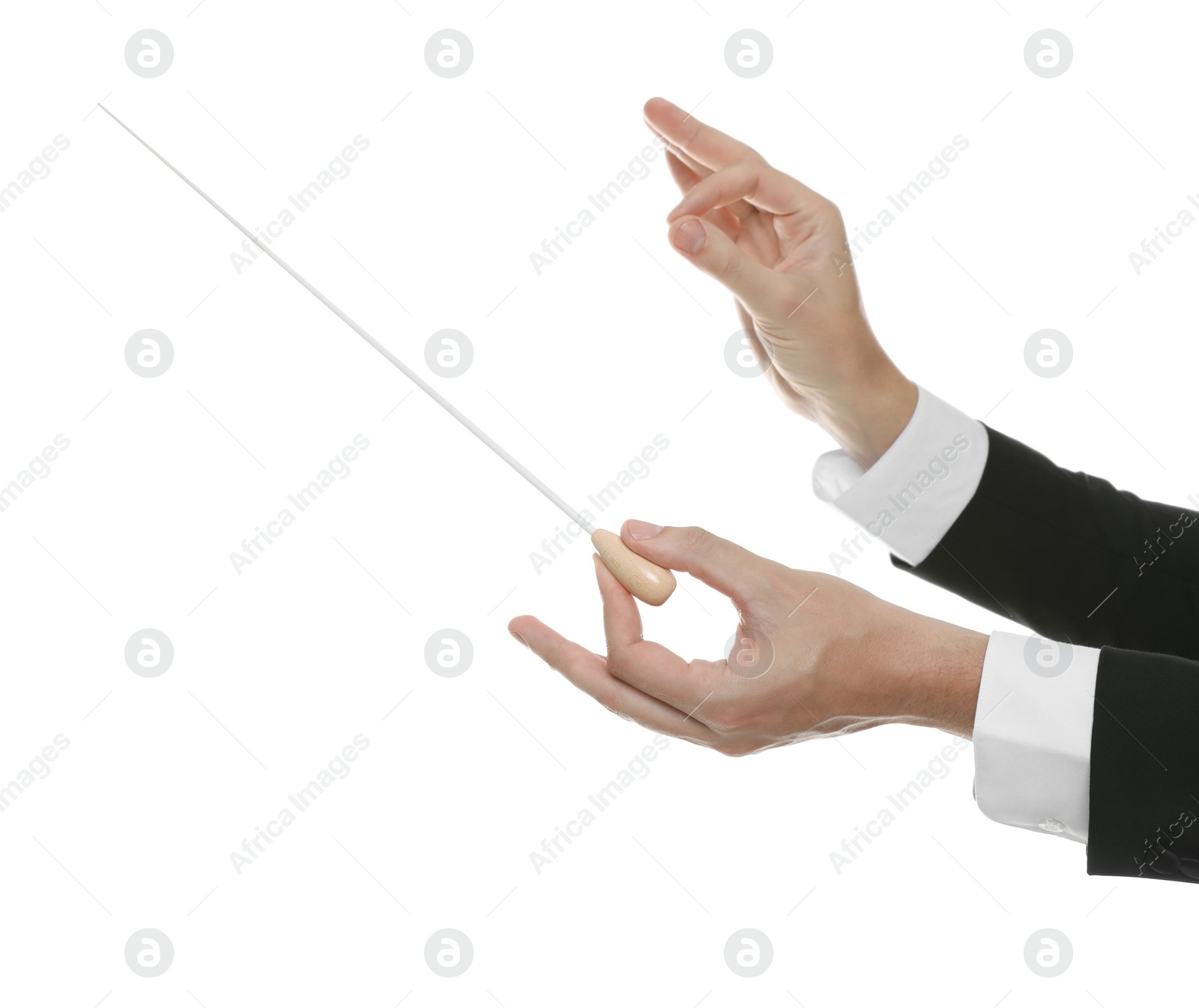 Photo of Professional conductor with baton on white background, closeup