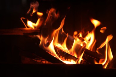 Photo of Bonfire with burning firewood on dark background