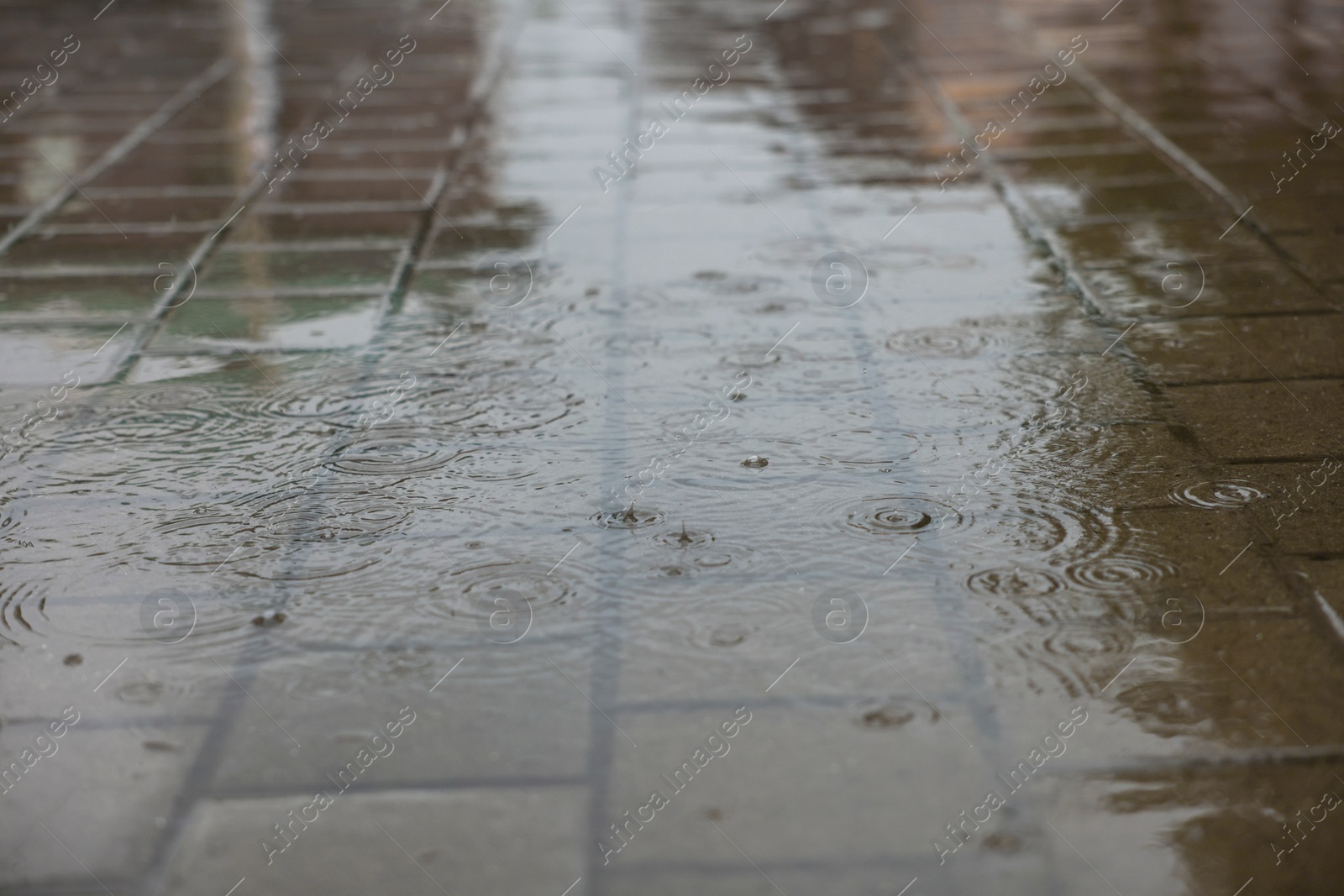 Photo of View of city street with puddles on rainy day, closeup