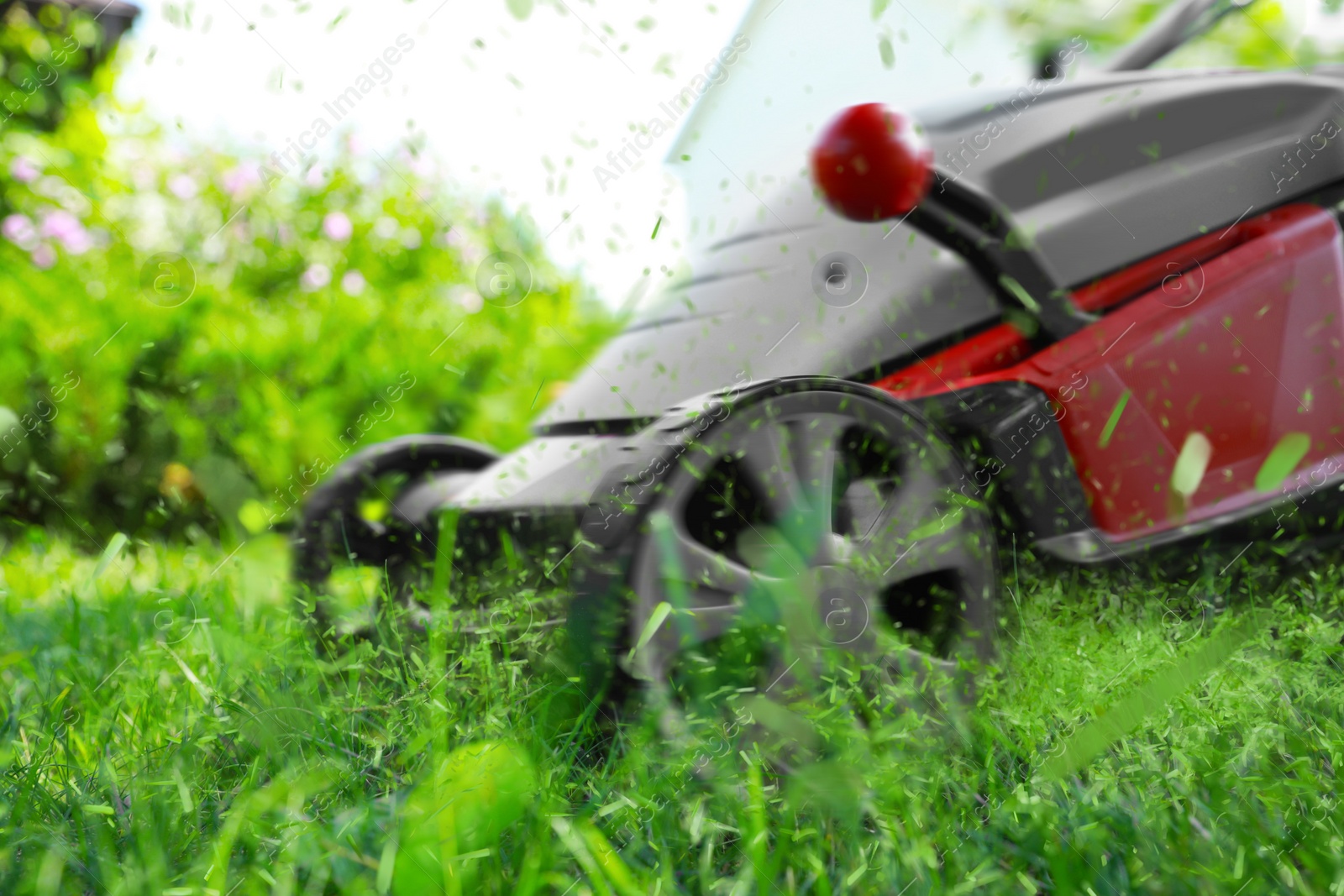 Image of Lawn mower on green grass in garden, closeup