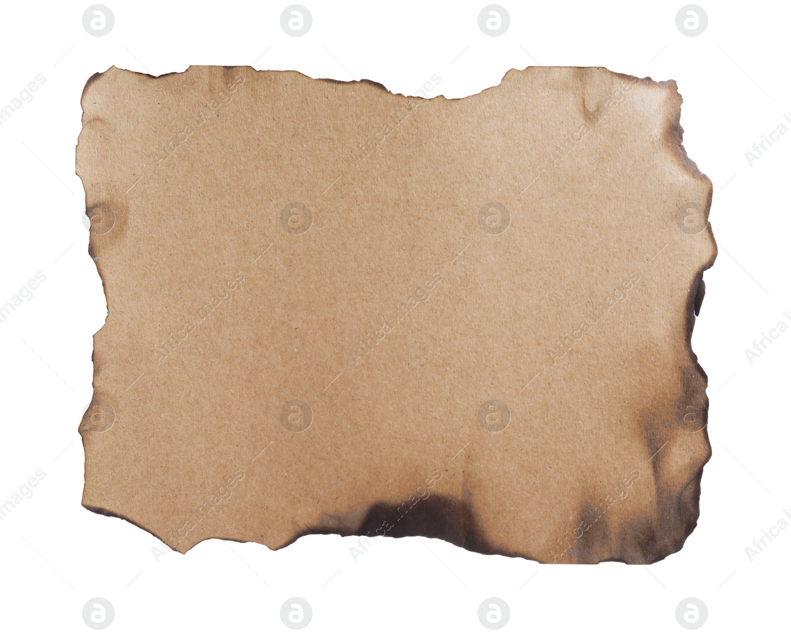 Photo of Piece of paper with dark burnt borders isolated on white. Space for text