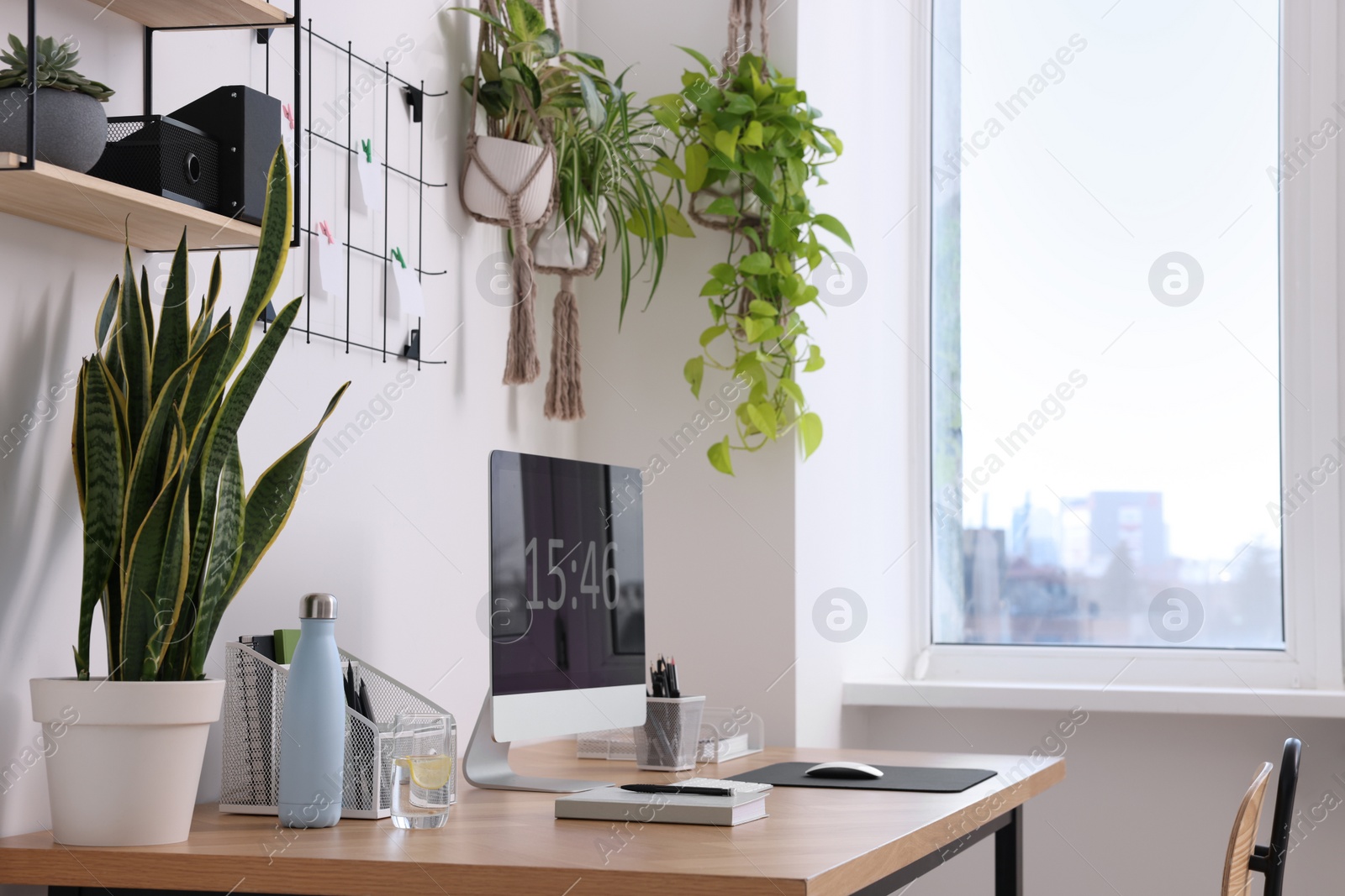 Photo of Cozy workplace with computer, modern furniture and houseplants at home