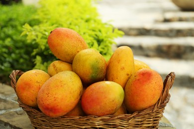Photo of Delicious fresh ripe mangos in basket outdoors