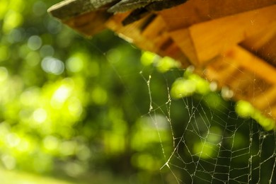 Cobweb on wooden building outdoors, closeup. Space for text