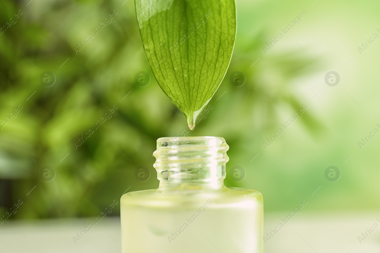 Photo of Dripping of essential oil into bottle on blurred background