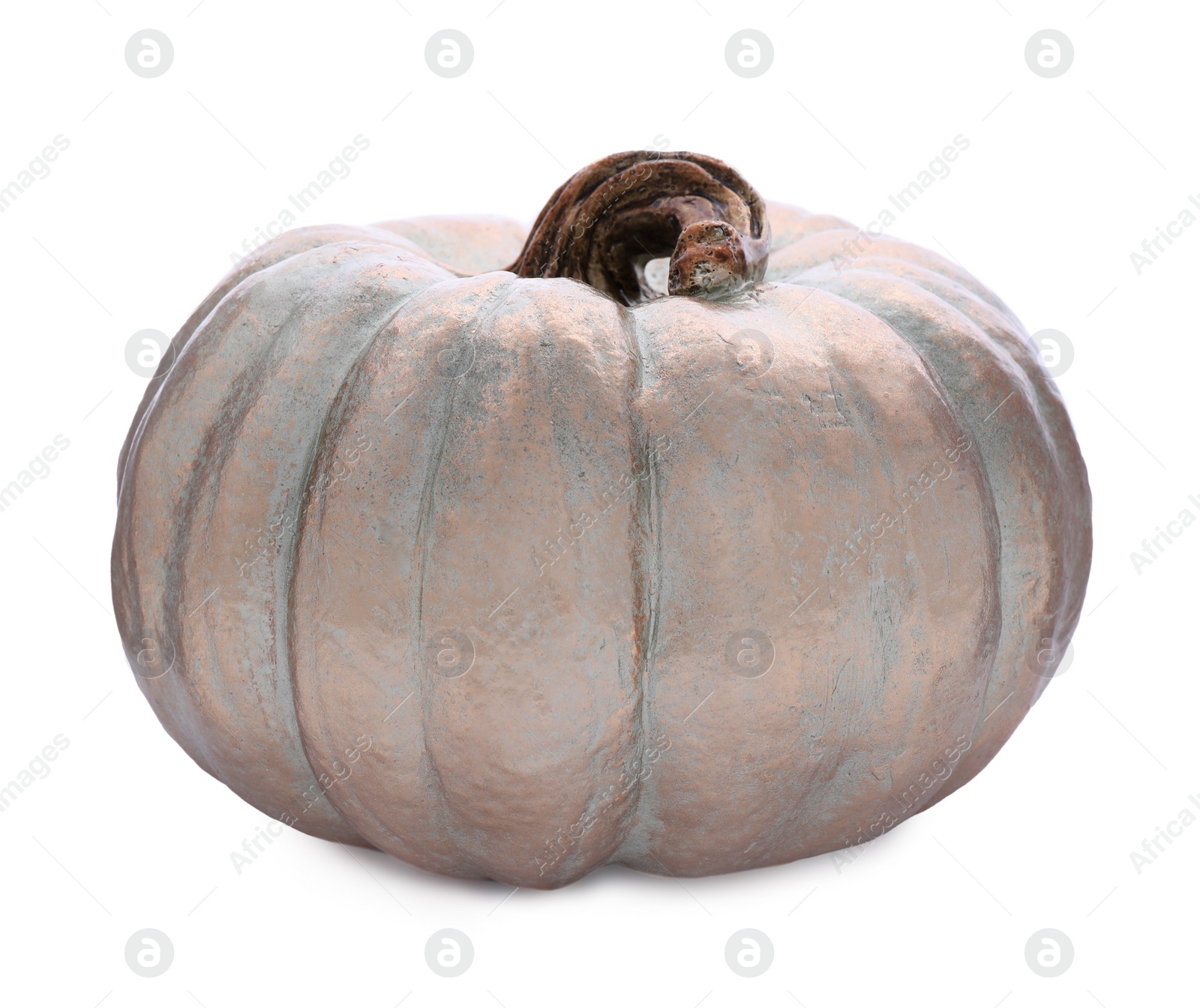 Photo of Beautiful decorative pumpkin on white background. Element for design