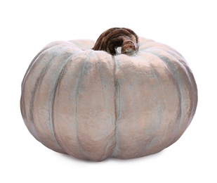 Photo of Beautiful decorative pumpkin on white background. Element for design