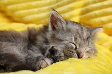 Photo of Cute kitten sleeping on soft yellow blanket