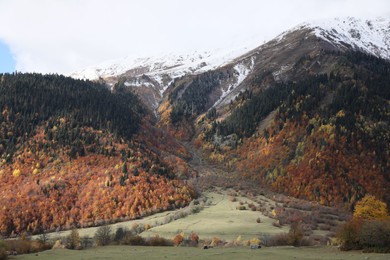 Picturesque view of mountain landscape with forest and meadow on autumn day