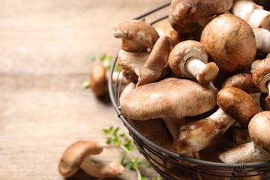 Photo of Different wild mushrooms in metal basket on wooden table, closeup