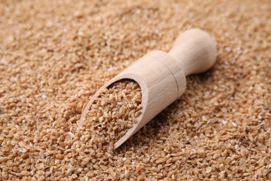 Wooden scoop with dry wheat groats, closeup