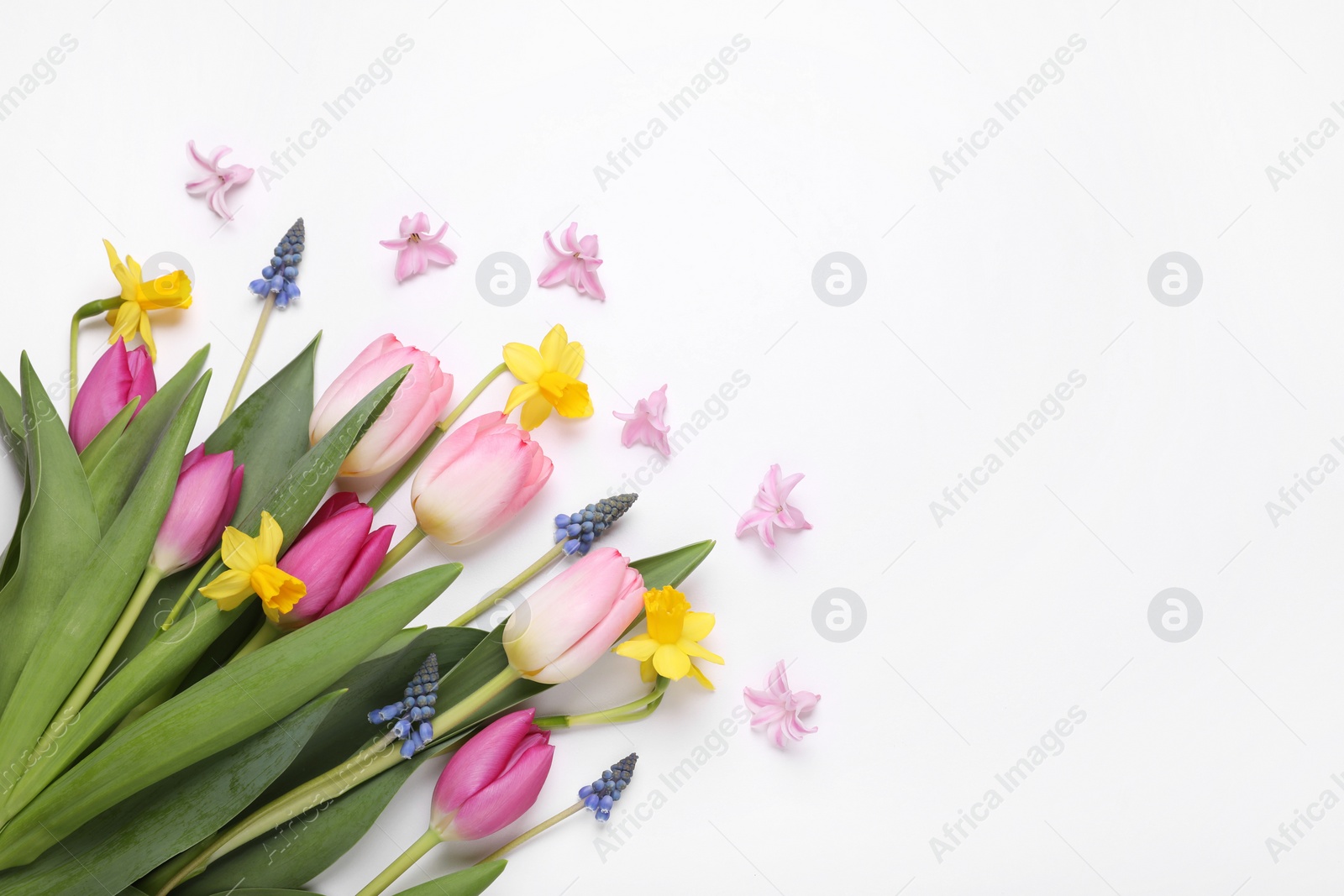 Photo of Beautiful flowers on white background, flat lay. Space for text