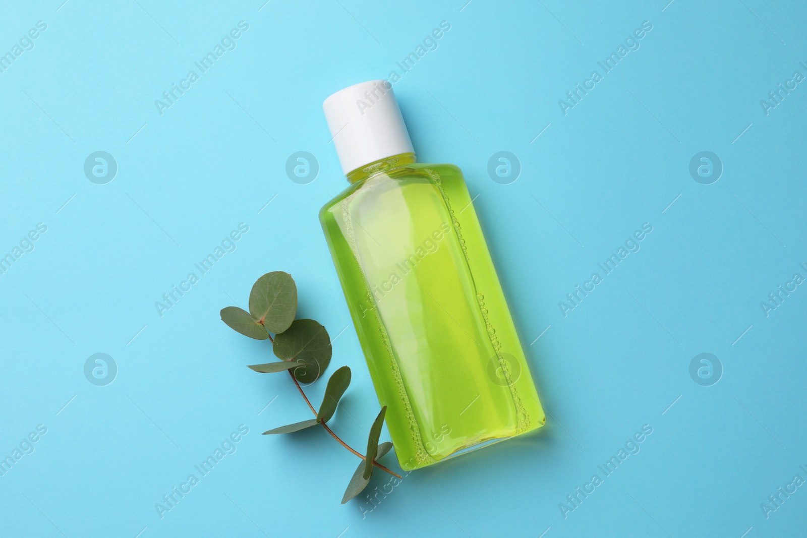 Photo of Fresh mouthwash in bottle and eucalyptus branch on light blue background, top view