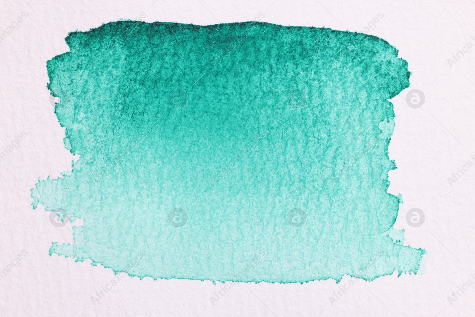 Photo of Abstract green watercolor painting on white paper, top view