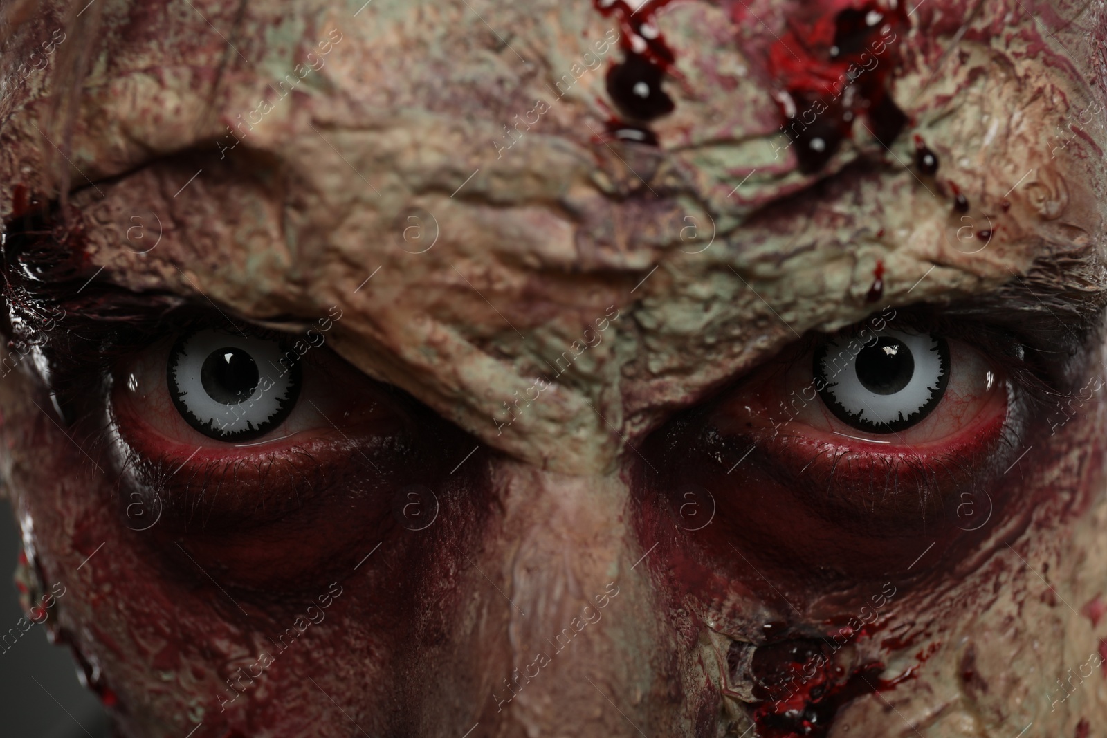 Photo of Closeup view of scary zombie. Halloween monster