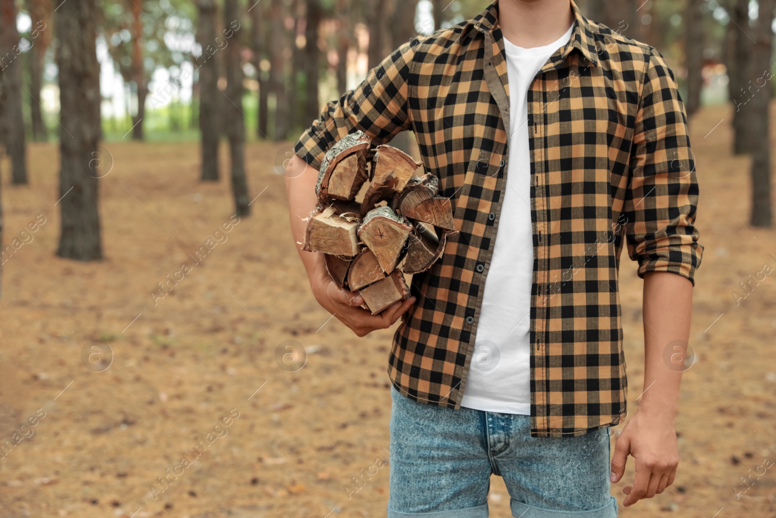 Photo of Man holding cut firewood in forest, closeup