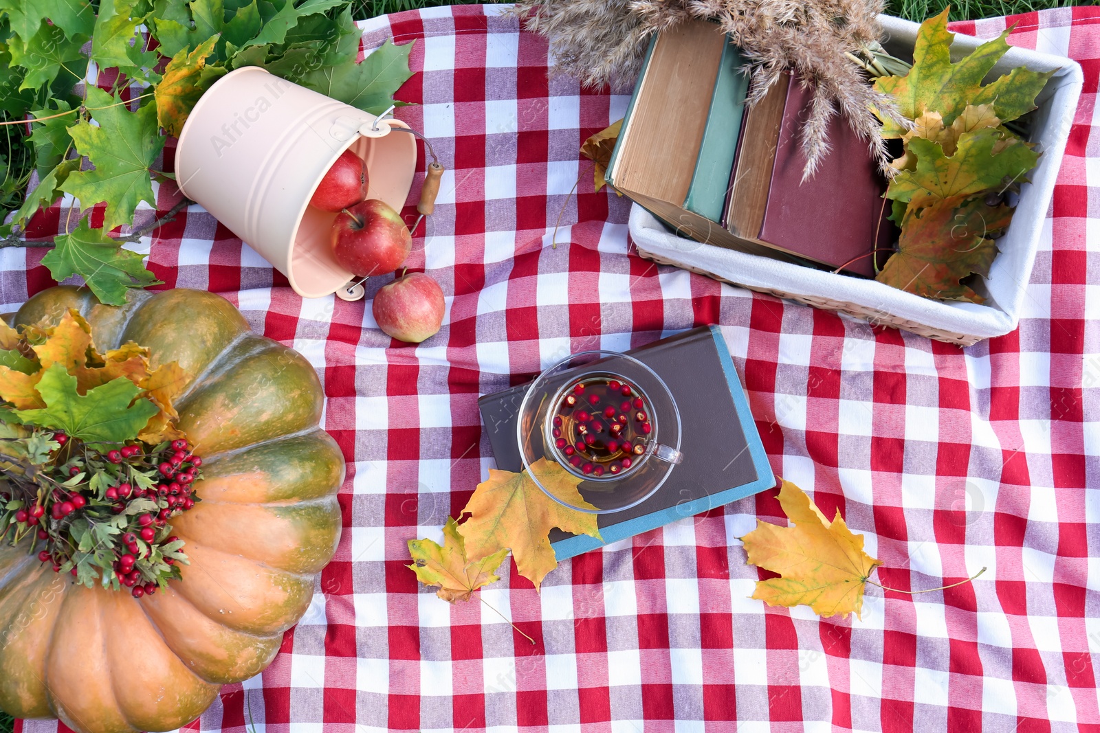 Photo of Books, cup of tea and pumpkin on plaid, flat lay. Autumn atmosphere