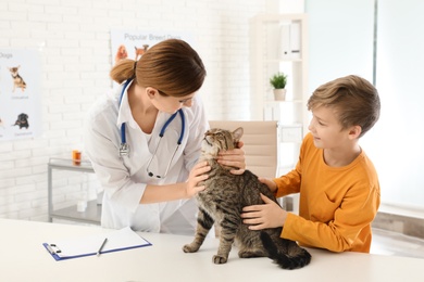 Photo of Boy with his cat visiting veterinarian in clinic