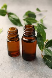 Bottles of bay essential oil and fresh leaves on light grey table