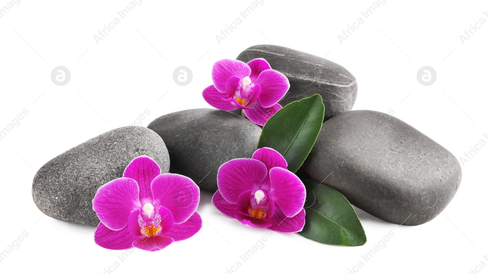 Photo of Pile of spa stones and orchid flowers on white background