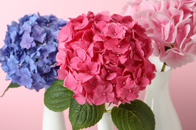Photo of Beautiful bright hortensia flowers on pink background, closeup
