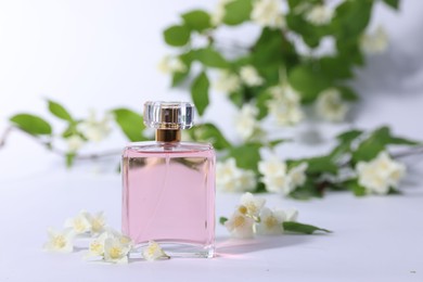 Aromatic perfume in bottle and beautiful jasmine flowers on white background