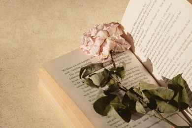 Photo of Book with beautiful dried flower on light table, closeup