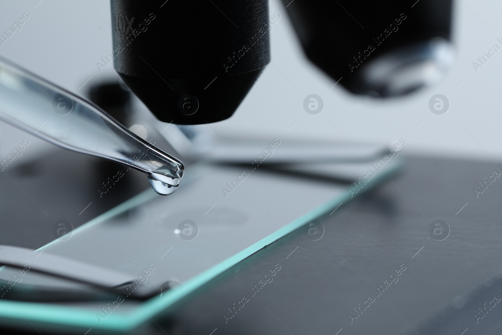 Photo of Dripping liquid from pipette onto glass slide on microscope, closeup